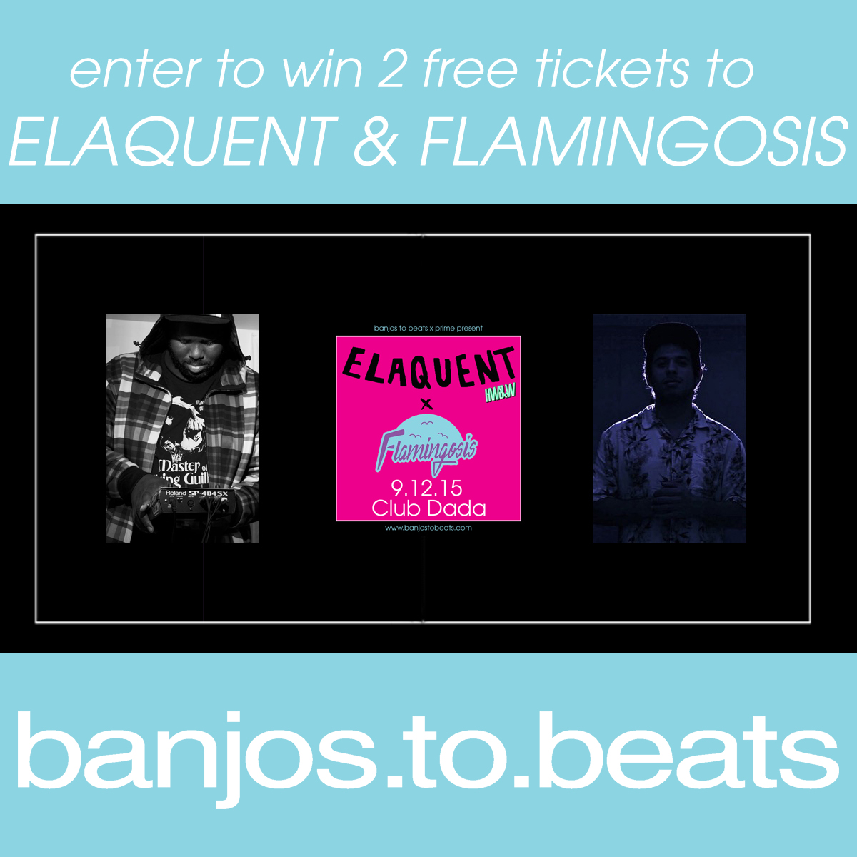 elaquent flamingosis giveaway